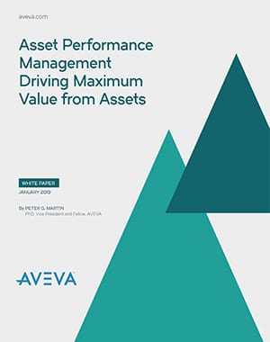 Driving Maximum Value from Assets Whitepaper
