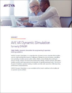Dynamic Simulation Brochure