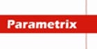 Parametrix Logo
