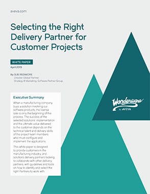 Selecting the Right Delivery Partner Whitepaper