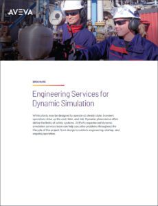 dynamic simulation engineering services